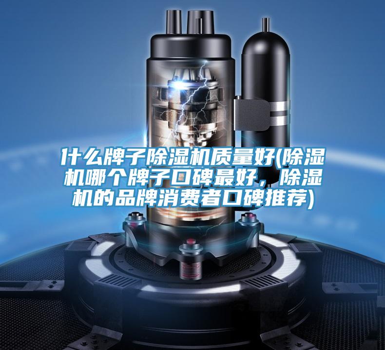 什么牌子泡芙短视频APP官方下载地址质量好(泡芙短视频APP官方下载地址哪个牌子口碑最好，泡芙短视频APP官方下载地址的品牌消费者口碑推荐)