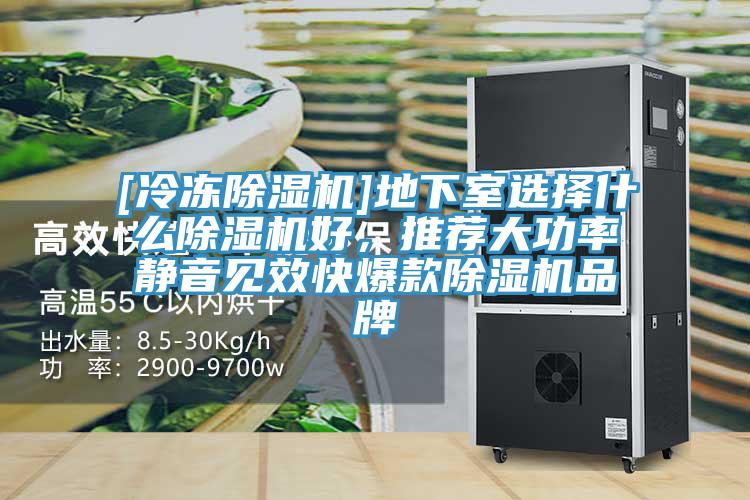 [冷冻泡芙短视频APP官方下载地址]地下室选择什么泡芙短视频APP官方下载地址好，推荐大功率静音见效快爆款泡芙短视频APP官方下载地址品牌