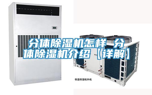 分体泡芙短视频APP官方下载地址怎样 分体泡芙短视频APP官方下载地址介绍【详解】