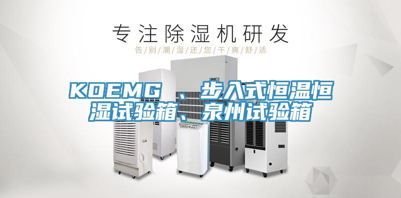 KOEMG 、步入式恒温恒湿试验箱、泉州试验箱