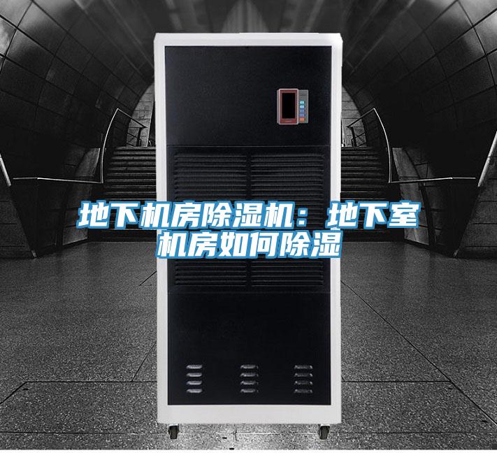 地下机房泡芙短视频APP官方下载地址：地下室机房如何除湿