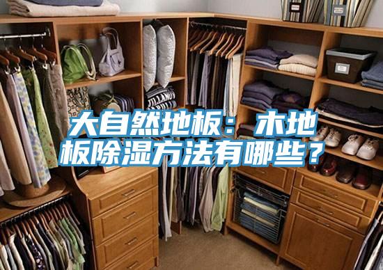 大自然地板：木地板除湿方法有哪些？
