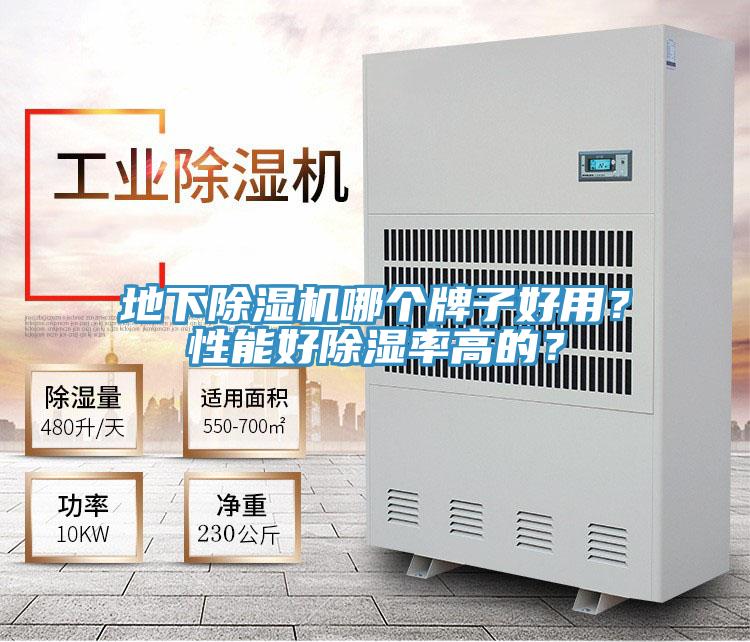 地下泡芙短视频APP官方下载地址哪个牌子好用？性能好除湿率高的？