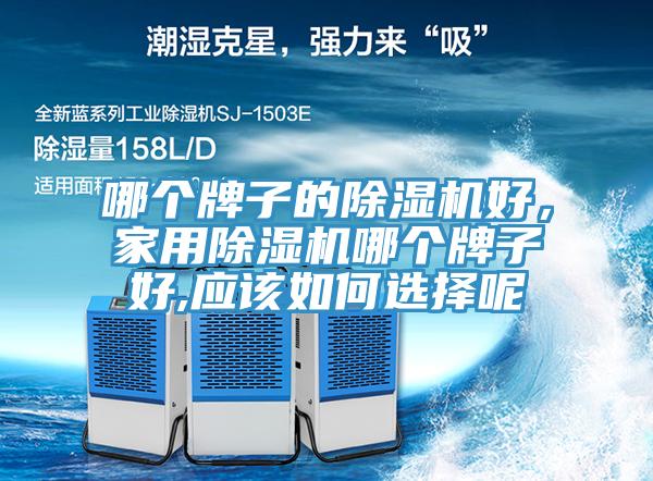 哪个牌子的泡芙短视频APP官方下载地址好，家用泡芙短视频APP官方下载地址哪个牌子好,应该如何选择呢