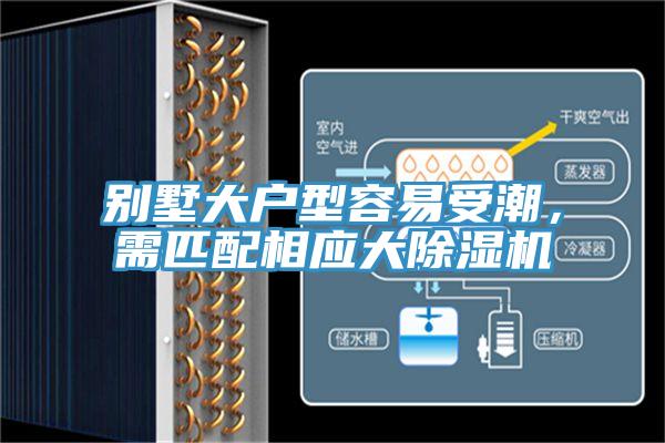 别墅大户型容易受潮，需匹配相应大泡芙短视频APP官方下载地址