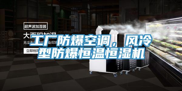 工厂防爆空调，风冷型防爆恒温恒湿机
