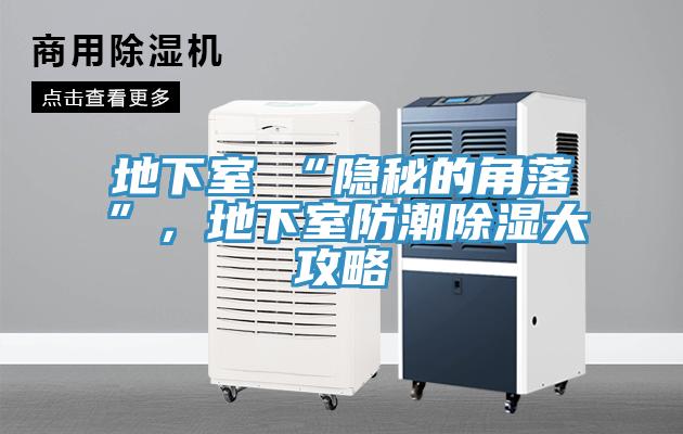 地下室≠“隐秘的角落”，地下室防潮除湿大攻略