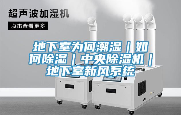 地下室为何潮湿｜如何除湿｜中央泡芙短视频APP官方下载地址｜地下室新风系统