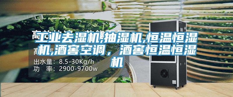 工业去湿机,抽湿机,恒温恒湿机,酒窖空调，酒窖恒温恒湿机