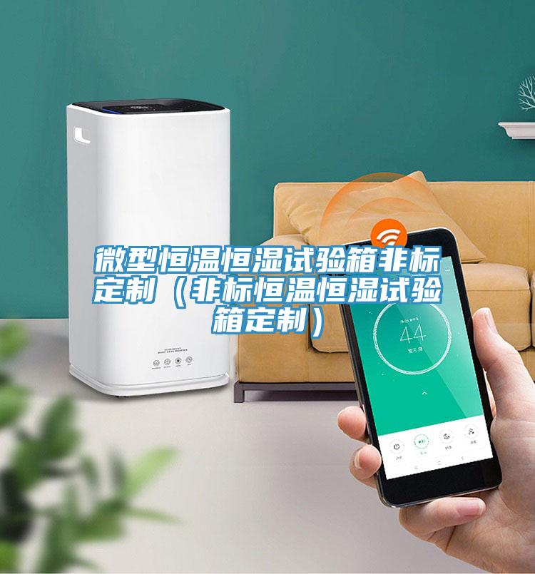 微型恒温恒湿试验箱非标定制(非标恒温恒湿试验箱定制)