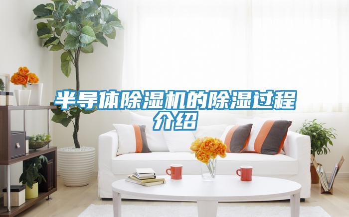 半导体泡芙短视频APP官方下载地址的除湿过程介绍