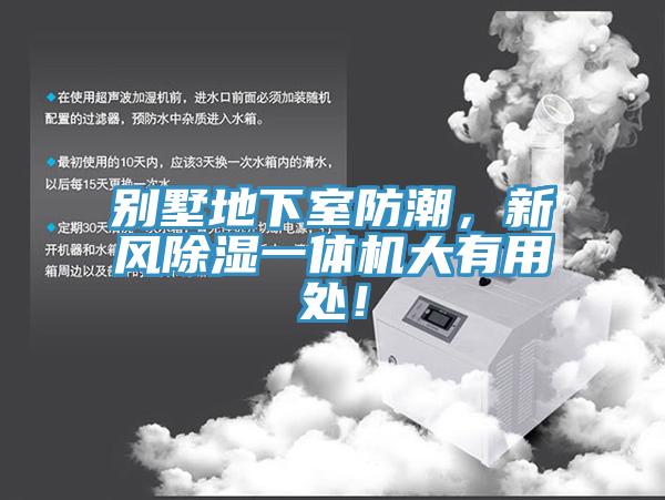 别墅地下室防潮，新风除湿一体机大有用处！