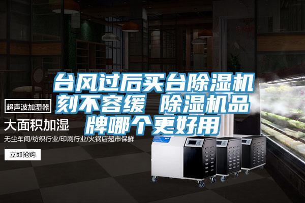台风过后买台泡芙短视频APP官方下载地址刻不容缓 泡芙短视频APP官方下载地址品牌哪个更好用