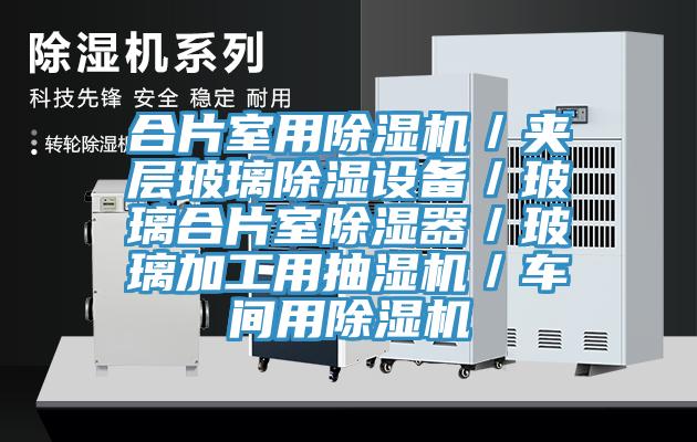 合片室用泡芙短视频APP官方下载地址／夹层玻璃除湿设备／玻璃合片室除湿器／玻璃加工用抽湿机／车间用泡芙短视频APP官方下载地址