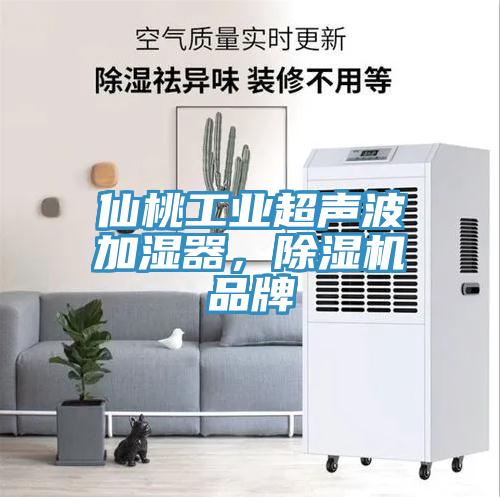 仙桃工业超声波加湿器，泡芙短视频APP官方下载地址品牌