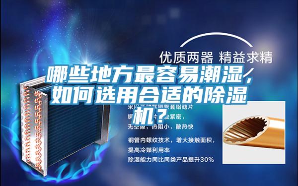 哪些地方最容易潮湿，如何选用合适的泡芙短视频APP官方下载地址？