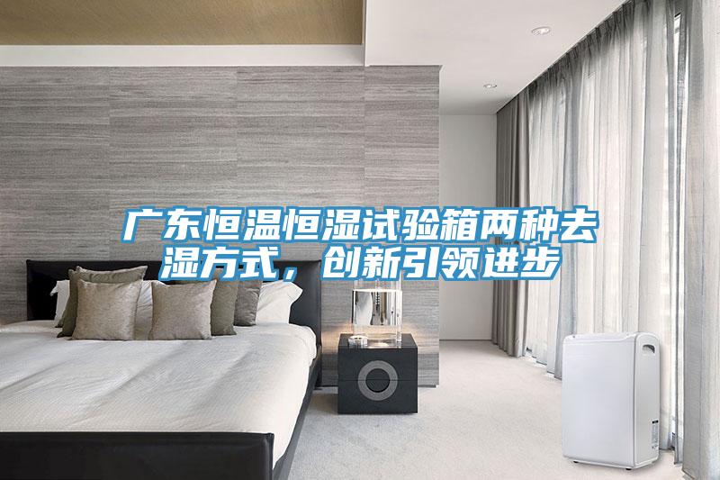 广东恒温恒湿试验箱两种去湿方式，创新引领进步