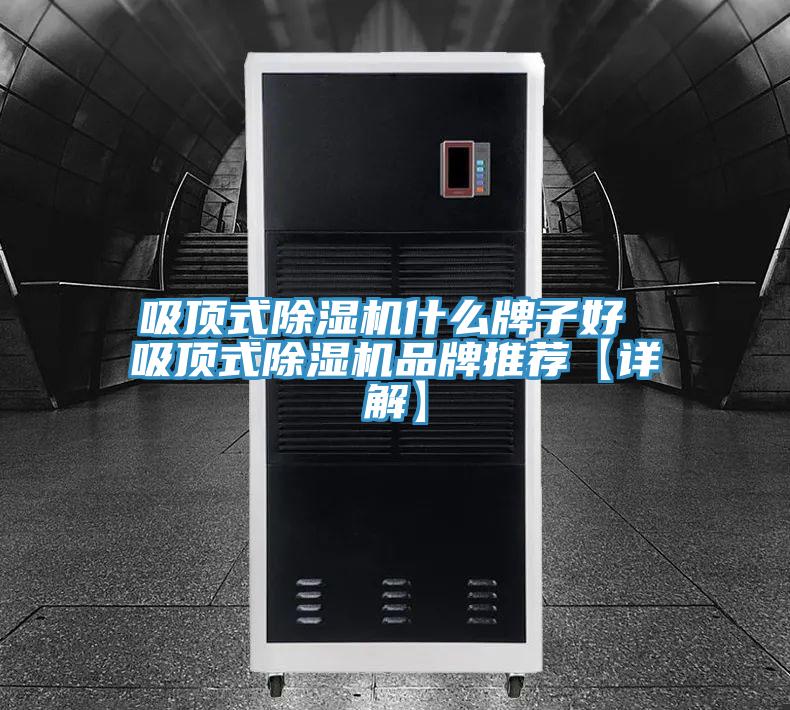 吸顶式泡芙短视频APP官方下载地址什么牌子好 吸顶式泡芙短视频APP官方下载地址品牌推荐【详解】