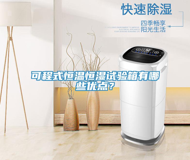 可程式恒温恒湿试验箱有哪些优点？