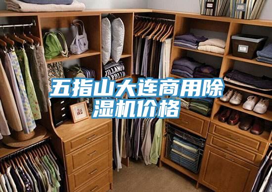 五指山大连商用泡芙短视频APP官方下载地址价格