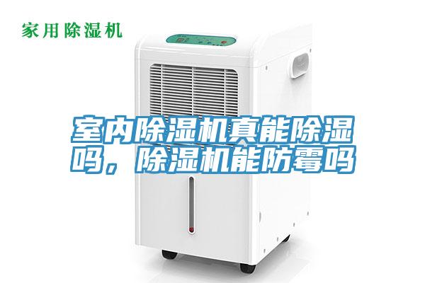 室内泡芙短视频APP官方下载地址真能除湿吗，泡芙短视频APP官方下载地址能防霉吗