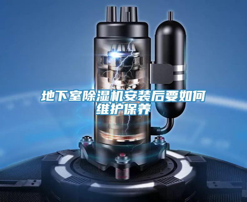 地下室泡芙短视频APP官方下载地址安装后要如何维护保养