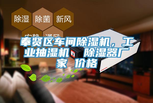 奉贤区车间泡芙短视频APP官方下载地址，工业抽湿机  除湿器厂家 价格