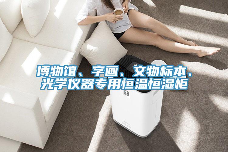 博物馆、字画、文物标本、光学仪器专用恒温恒湿柜