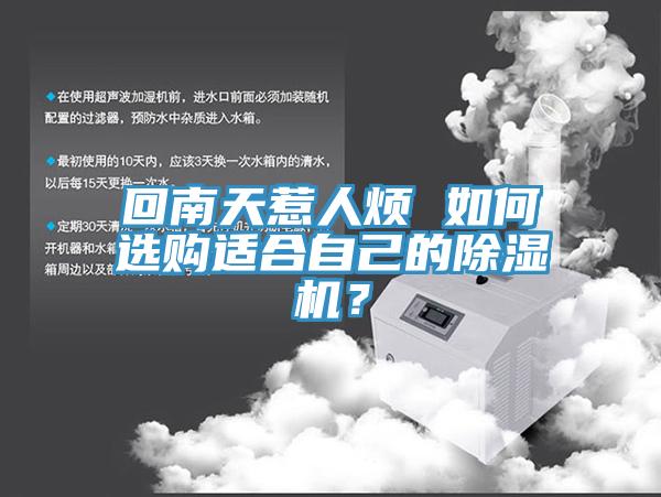 回南天惹人烦 如何选购适合自己的泡芙短视频APP官方下载地址？