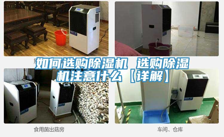 如何选购泡芙短视频APP官方下载地址 选购泡芙短视频APP官方下载地址注意什么【详解】