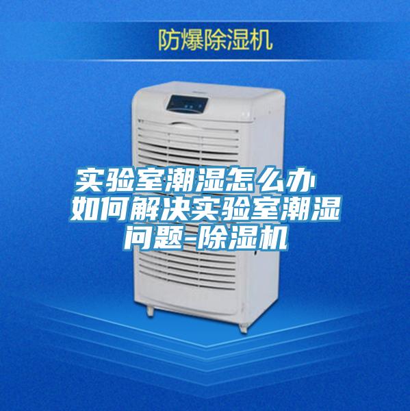 实验室潮湿怎么办 如何解决实验室潮湿问题-泡芙短视频APP官方下载地址