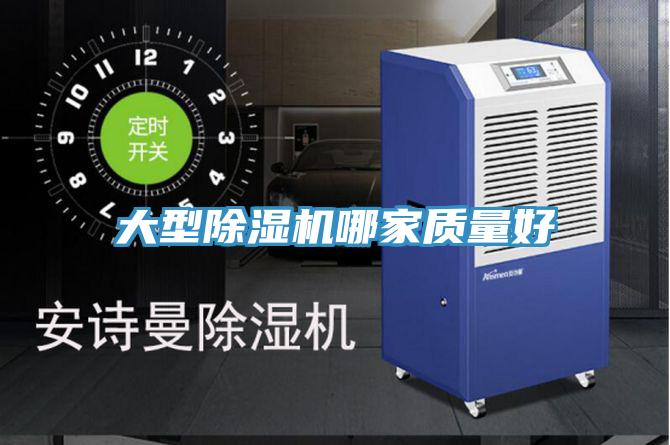 大型泡芙短视频APP官方下载地址哪家质量好