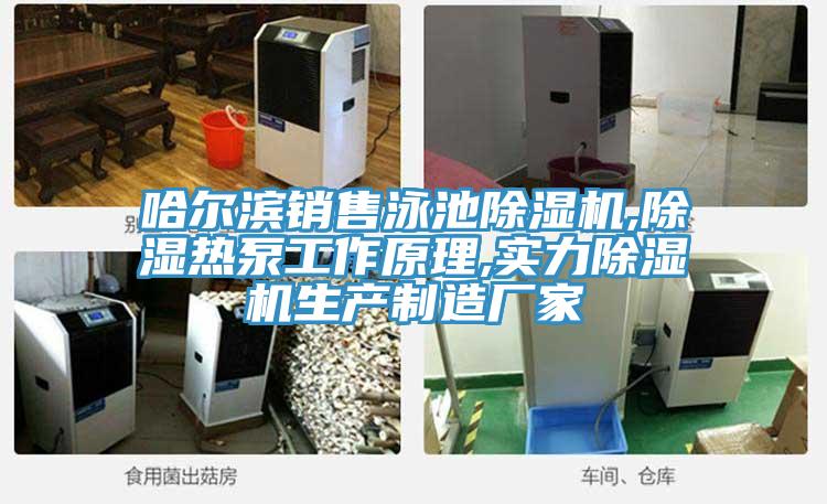 哈尔滨销售泳池泡芙短视频APP官方下载地址,除湿热泵工作原理,实力泡芙短视频APP官方下载地址生产制造厂家