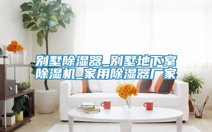 别墅除湿器_别墅地下室泡芙短视频APP官方下载地址_家用除湿器厂家