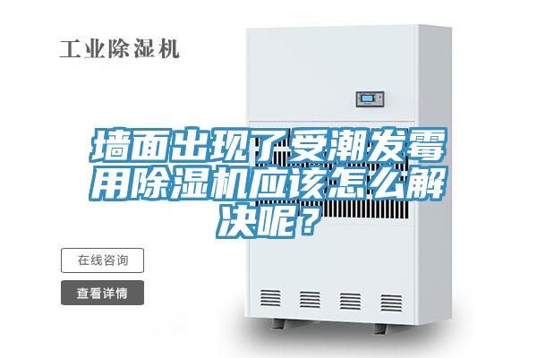 墙面出现了受潮发霉用泡芙短视频APP官方下载地址应该怎么解决呢？