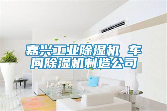 嘉兴工业泡芙短视频APP官方下载地址 车间泡芙短视频APP官方下载地址制造公司