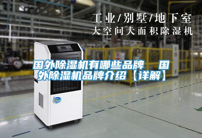 国外泡芙短视频APP官方下载地址有哪些品牌  国外泡芙短视频APP官方下载地址品牌介绍【详解】