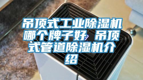 吊顶式工业泡芙短视频APP官方下载地址哪个牌子好 吊顶式管道泡芙短视频APP官方下载地址介绍