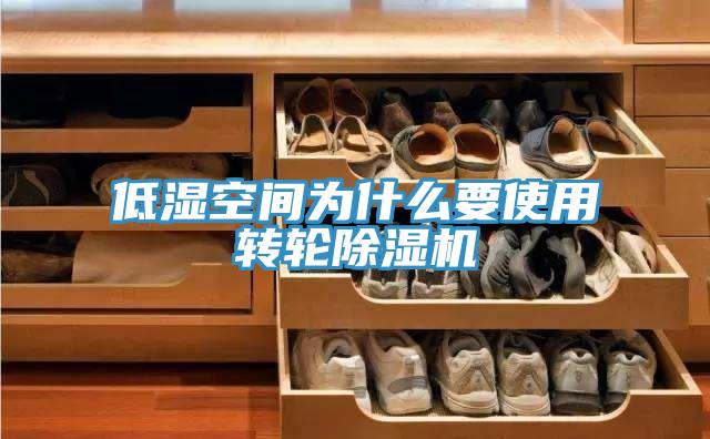 低湿空间为什么要使用转轮泡芙短视频APP官方下载地址