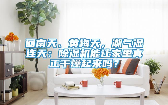 回南天、黄梅天，潮气湿连天：泡芙短视频APP官方下载地址能让家里真正干燥起来吗？