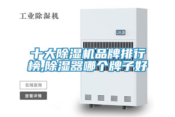 十大泡芙短视频APP官方下载地址品牌排行榜,除湿器哪个牌子好