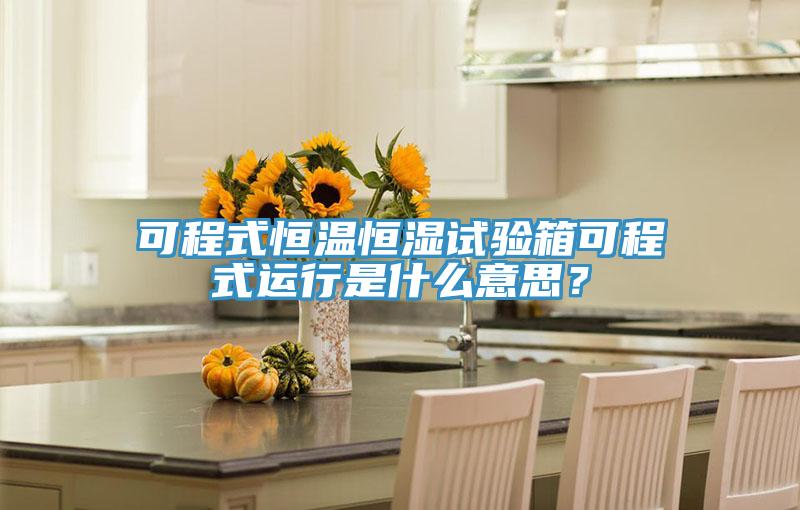 可程式恒温恒湿试验箱可程式运行是什么意思？
