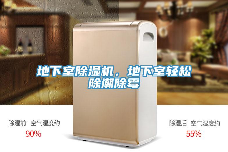 地下室泡芙短视频APP官方下载地址，地下室轻松除潮除霉