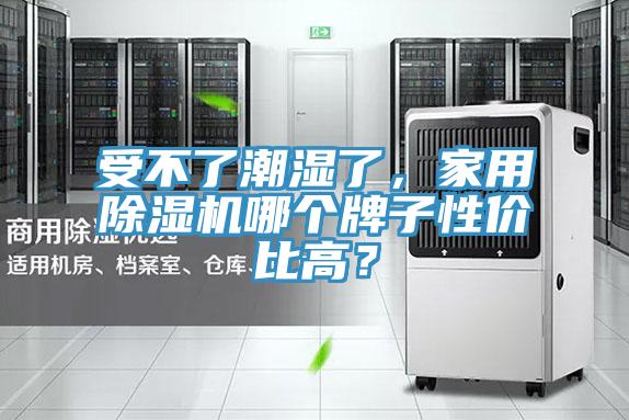 受不了潮湿了，家用泡芙短视频APP官方下载地址哪个牌子性价比高？