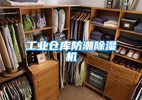 工业仓库防潮泡芙短视频APP官方下载地址