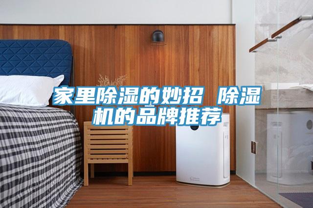家里除湿的妙招 泡芙短视频APP官方下载地址的品牌推荐