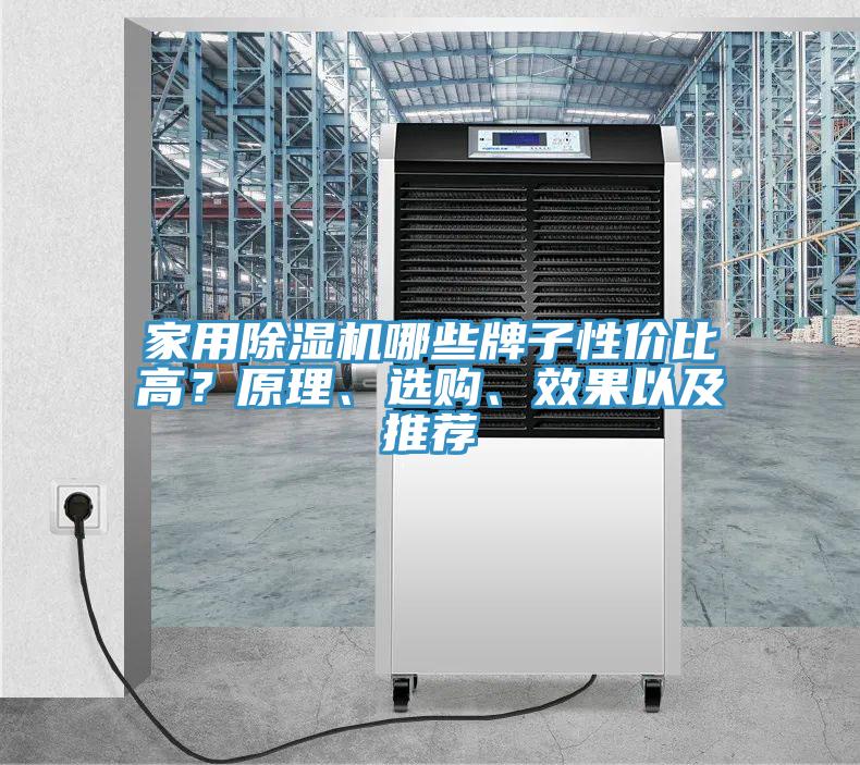 家用泡芙短视频APP官方下载地址哪些牌子性价比高？原理、选购、效果以及推荐