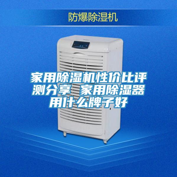 家用泡芙短视频APP官方下载地址性价比评测分享 家用除湿器用什么牌子好