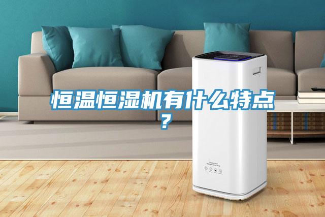 恒温恒湿机有什么特点？