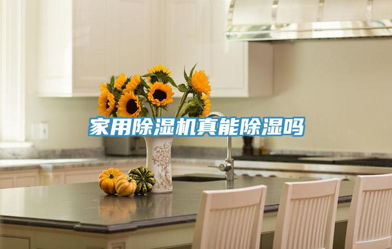 家用泡芙短视频APP官方下载地址真能除湿吗